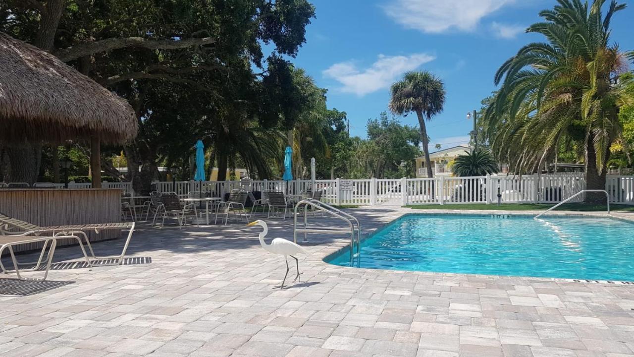 Siesta Key Condo - On The Water ! Eksteriør billede